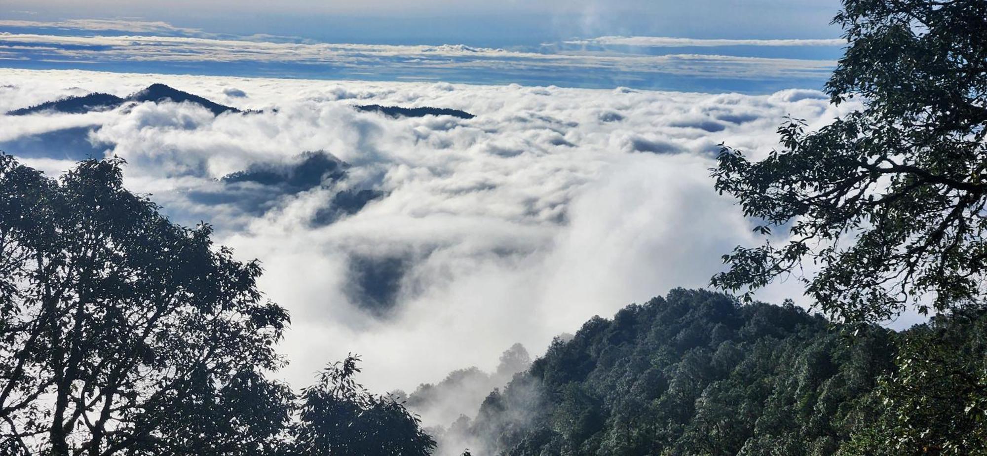 Simba Jungle Lodge, Binsar Wildlife Sanctuary Exteriör bild