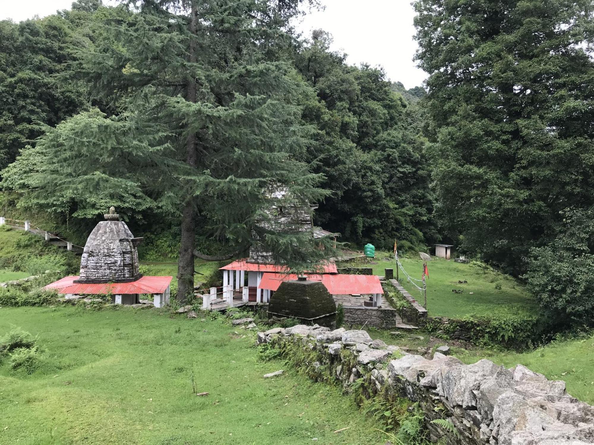 Simba Jungle Lodge, Binsar Wildlife Sanctuary Exteriör bild