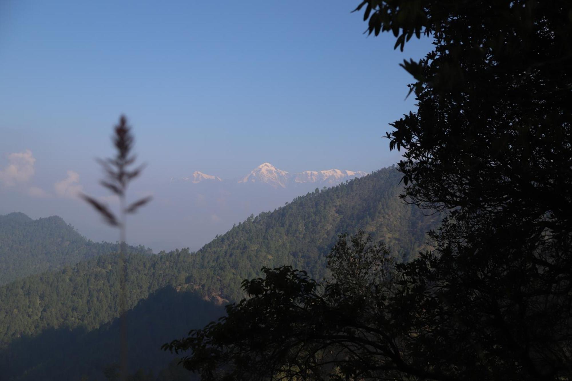 Simba Jungle Lodge, Binsar Wildlife Sanctuary Exteriör bild