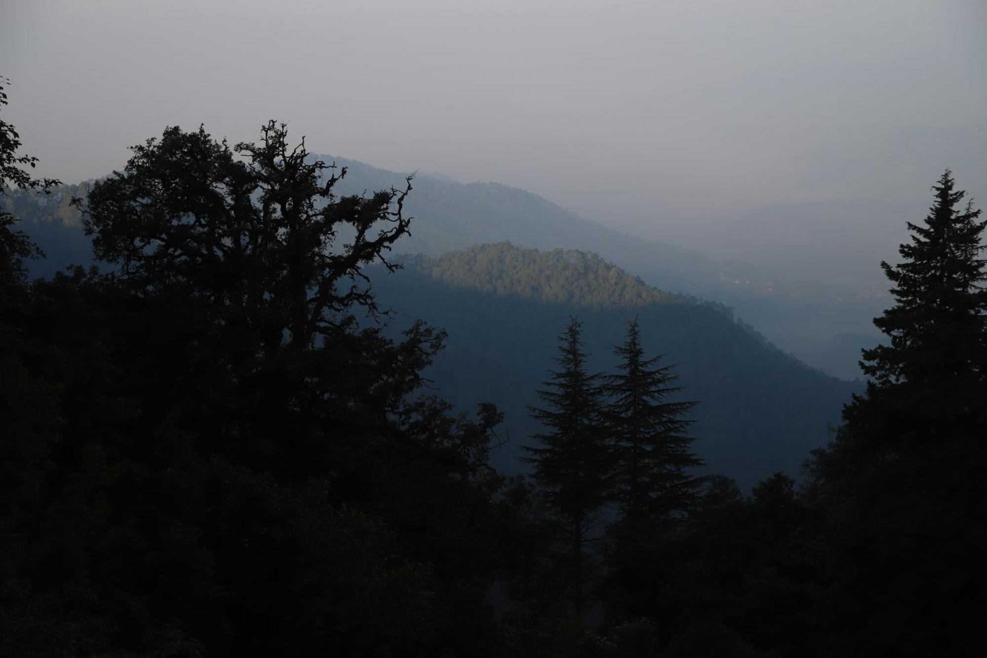Simba Jungle Lodge, Binsar Wildlife Sanctuary Exteriör bild