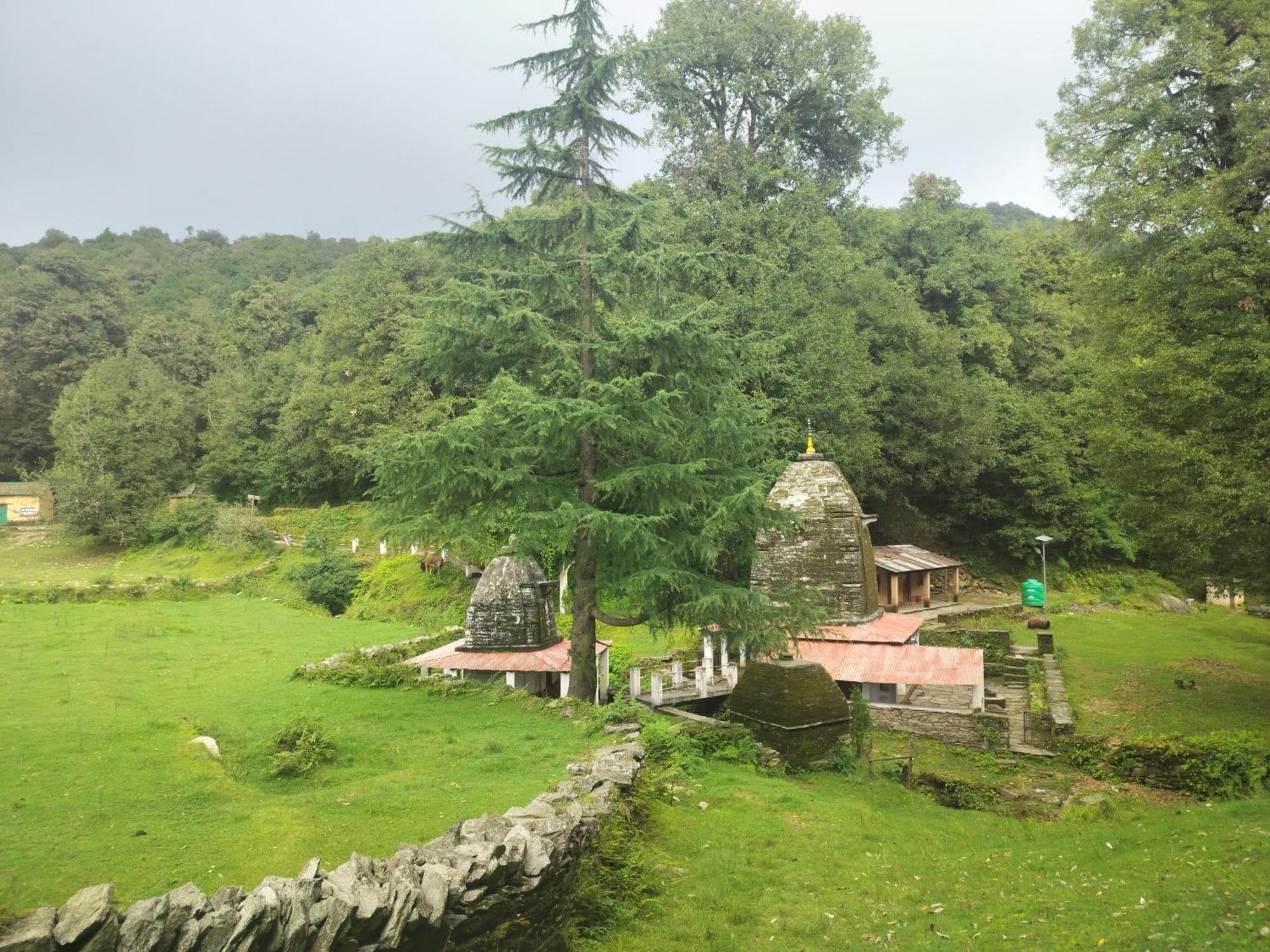 Simba Jungle Lodge, Binsar Wildlife Sanctuary Exteriör bild
