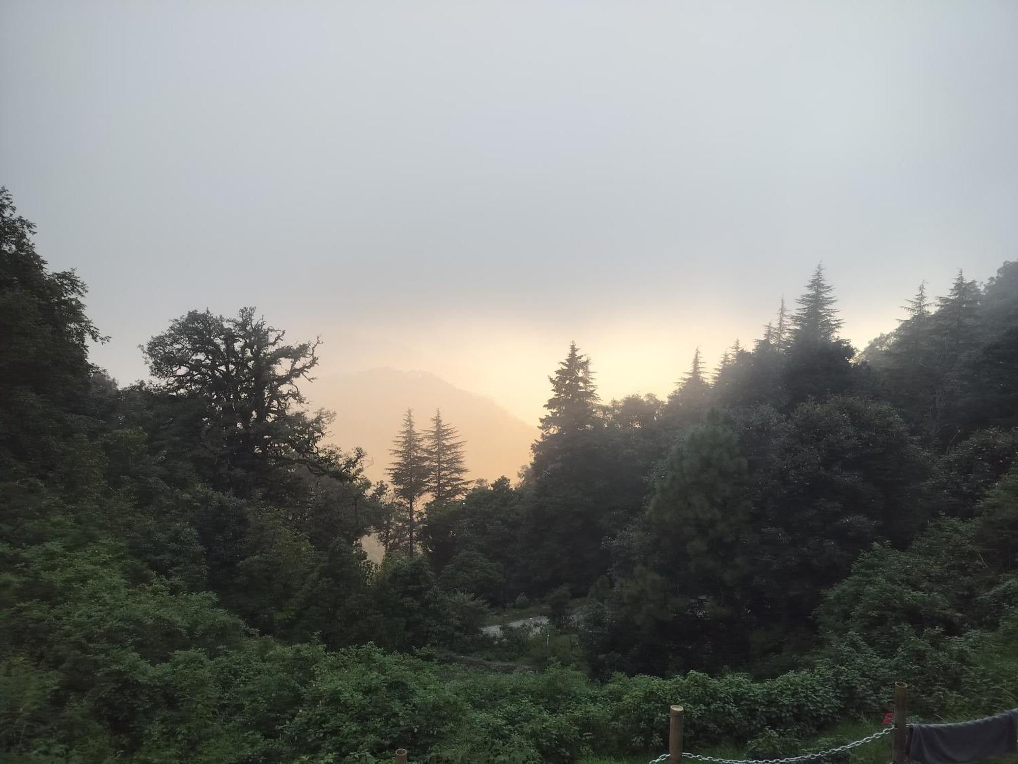 Simba Jungle Lodge, Binsar Wildlife Sanctuary Exteriör bild