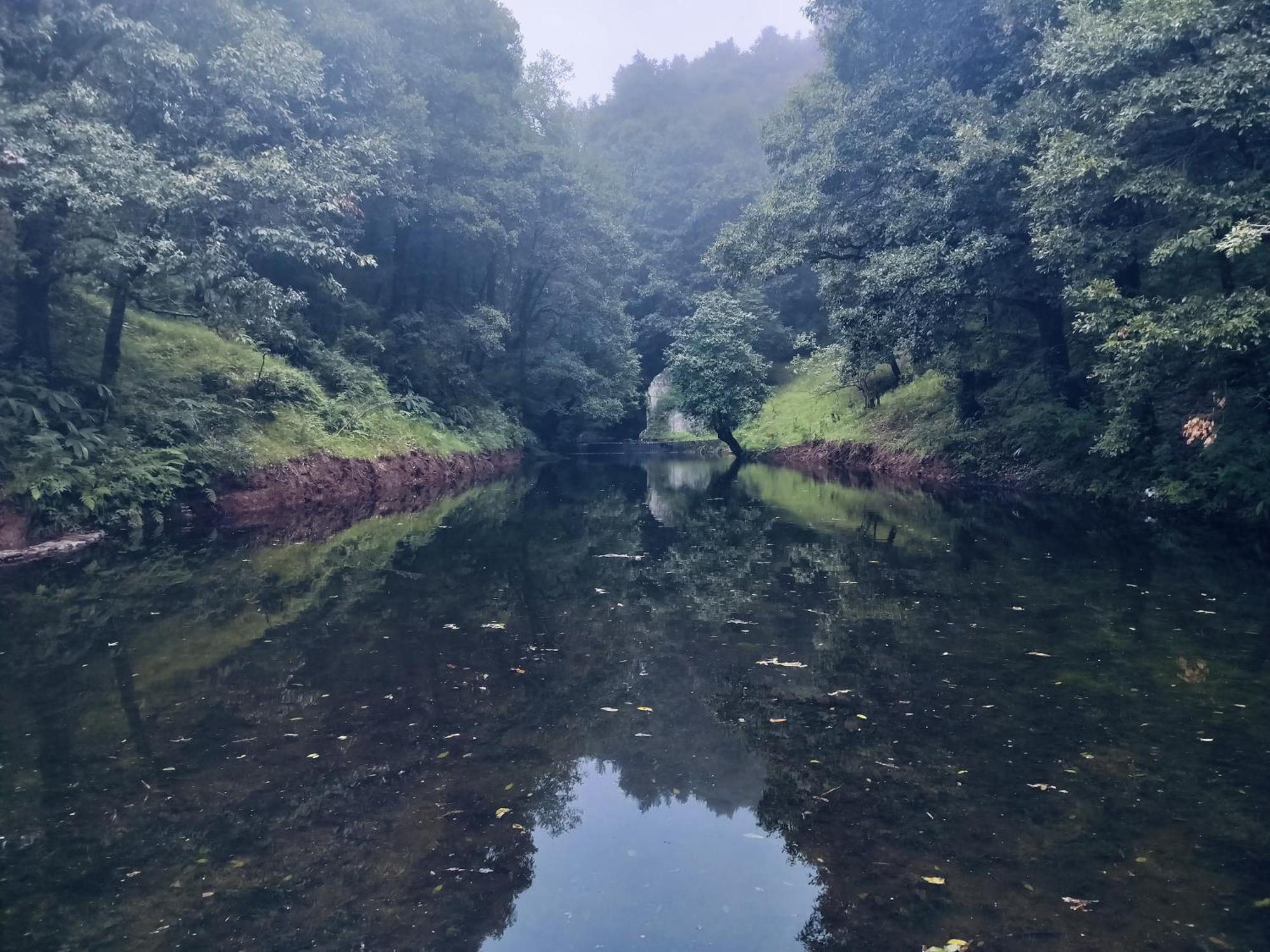 Simba Jungle Lodge, Binsar Wildlife Sanctuary Exteriör bild